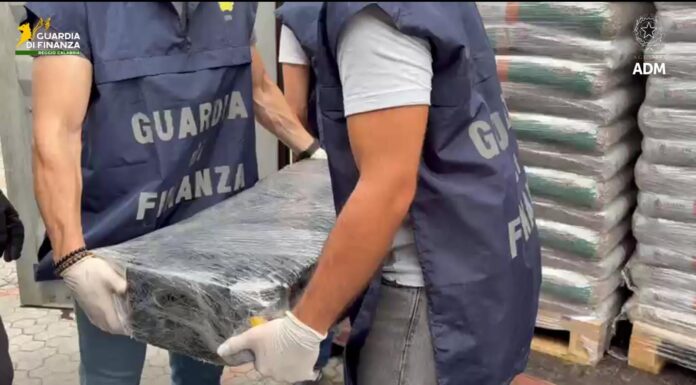 Sequestrati al porto di Gioia Tauro 113 kg di cocaina