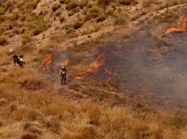 Spagna, almeno 11 vittime in un grave incendio in Andalusia