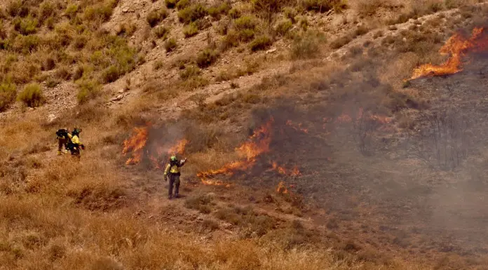 Spagna, almeno 11 vittime in un grave incendio in Andalusia