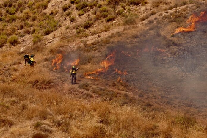 Spagna, un nuovo incendio colpisce la zona di Monte Coronado a Malaga