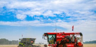 Cina, per la prima volta il raccolto di cereali estivi supera 150 mln tonnellate