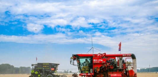 Cina, per la prima volta il raccolto di cereali estivi supera 150 mln tonnellate