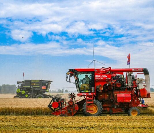 Cina, per la prima volta il raccolto di cereali estivi supera 150 mln tonnellate
