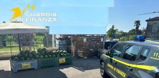 Sequestrati a Rovigo 450 kg di carne scaduta e 3 tonnellate di verdura marcia