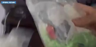 Nascondeva cocaina dietro le statuette religiose, 29enne arrestato a Milano / Video