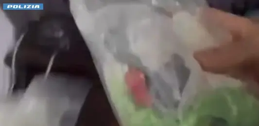 Nascondeva cocaina dietro le statuette religiose, 29enne arrestato a Milano / Video