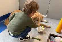 Purina e Frida’s Friends, pet therapy in Neurologia Pediatrica al Fatebenefratelli