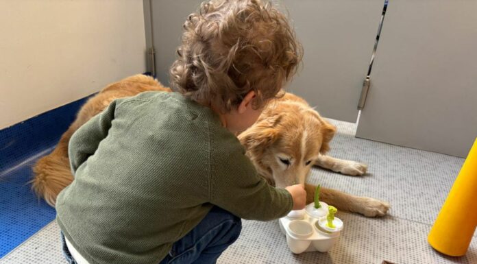 Purina e Frida’s Friends, pet therapy in Neurologia Pediatrica al Fatebenefratelli