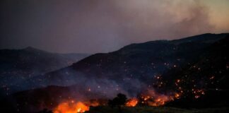 استمرار حرائق الغابات في جزيرة كريت يجبر نحو 8 آلاف شخص على الإجلاء