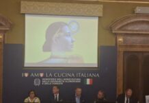 Dall’11 al 13 settembre a Vercelli Risò, il Festival Internazionale del Riso