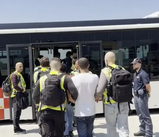 Contrasto all’immigrazione clandestina, espulsi 23 egiziani