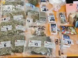 Maxi operazione antidroga in Friuli, 24 misure cautelari