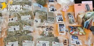 Maxi operazione antidroga in Friuli, 24 misure cautelari