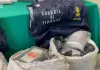 Operazione “Abisso”, nuovi arresti per narcotraffico tra Sicilia e Malta
