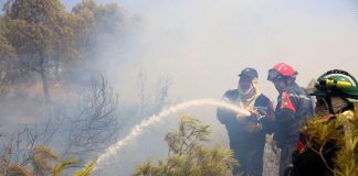 Algeria ancora nella morsa degli incendi, 159 roghi in 24 ore tra foreste, aree boschive e coltivazioni