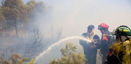 الجزائر: إخماد 1968 حريقًا منذ 8 يوليو و إبقاء حالة التأهب مرتفعة