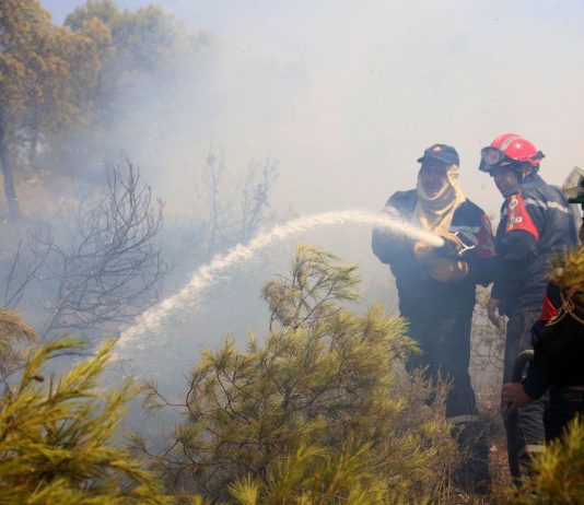 الجزائر: إخماد 1968 حريقًا منذ 8 يوليو و إبقاء حالة التأهب مرتفعة
