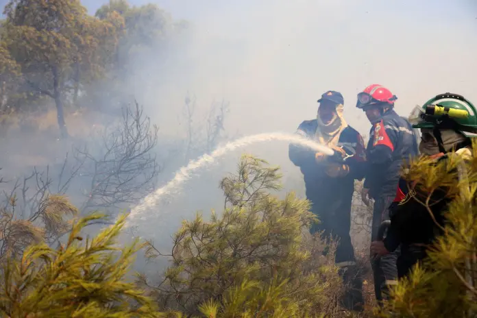Algeria, incendi boschivi senza sosta: almeno 6 morti