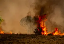 Morta una donna rimasta gravemente ferita nell’incendio di Almeria, il bilancio sale a 13 vittime