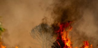 Morta una donna rimasta gravemente ferita nell’incendio di Almeria, il bilancio sale a 13 vittime