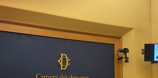 Un libro per non dimenticare il piccolo Domenico, la madre: “La battaglia continua” / Video