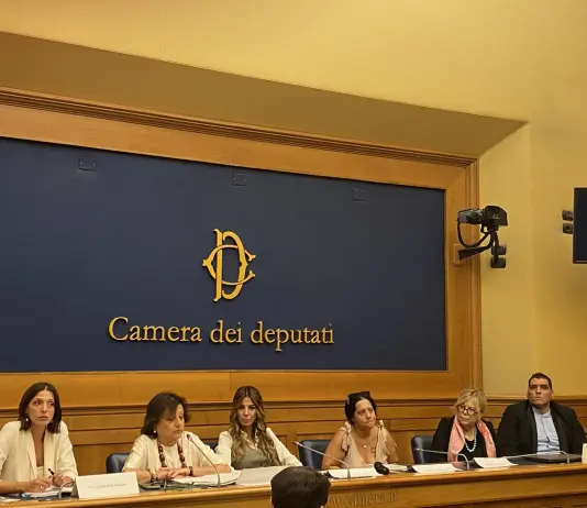 Un libro per non dimenticare il piccolo Domenico, la madre: “La battaglia continua” / Video