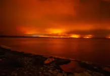 Francia, gli incendi minacciano Bordeaux: Macron terrà una riunione di emergenza