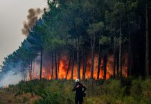 Grave incendio in Francia, oltre 20.000 persone evacuate dalla penisola di Cap-Ferret