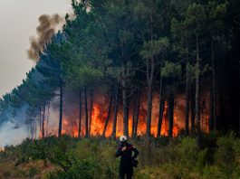 Grave incendio in Francia, oltre 20.000 persone evacuate dalla penisola di Cap-Ferret