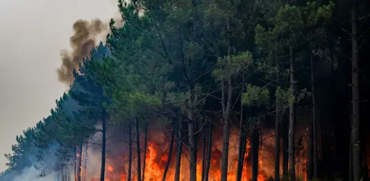 Grave incendio in Francia, oltre 20.000 persone evacuate dalla penisola di Cap-Ferret