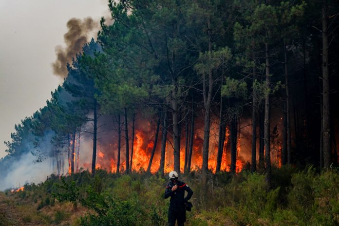 Francia, maxi incendio fuori controllo in Gironda: 2.000 ettari in fumo e 12 mila evacuati
