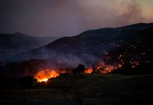 Situazione critica a Creta a causa di un vasto incendio, evacuate 8.000 persone
