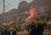 Vasto incendio boschivo a Creta, due vigili del fuoco morti durante le operazioni di spegnimento