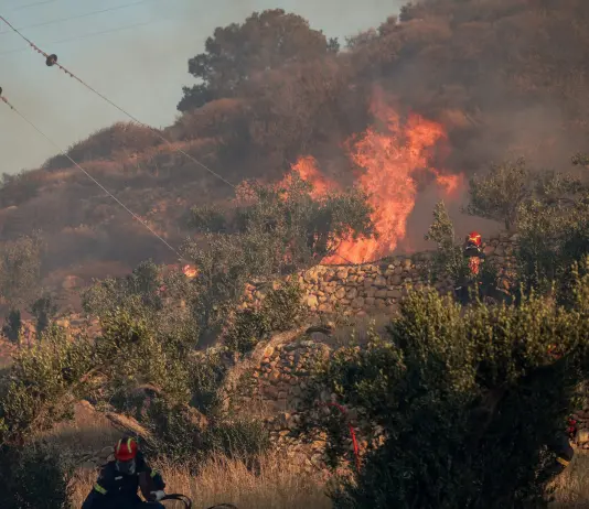 Vasto incendio boschivo a Creta, due vigili del fuoco morti durante le operazioni di spegnimento