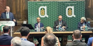 Crosetto “In atto scontro tra democrazie, autarchie e oligarchie tecnocratiche”