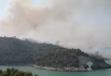 Vasto incendio sul Gargano, turisti evacuati via mare