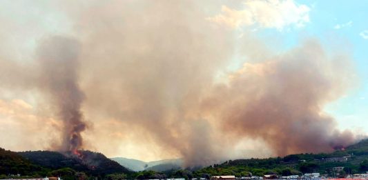 Vasto incendio sul Gargano, turisti evacuati via mare