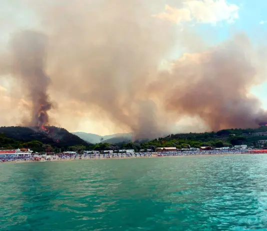 Vasto incendio sul Gargano, turisti evacuati via mare