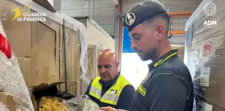 Maxi sequestro al porto di Genova-Prà di oltre 7 quintali di marijuana