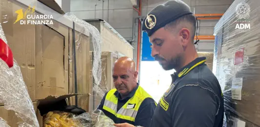 Maxi sequestro al porto di Genova-Prà di oltre 7 quintali di marijuana