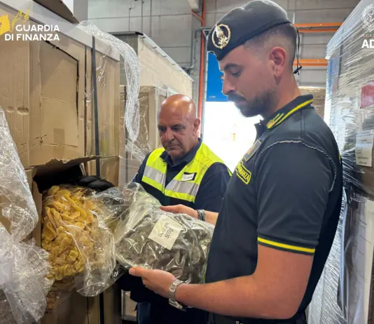 Maxi sequestro al porto di Genova-Prà di oltre 7 quintali di marijuana
