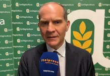 Giansanti “Su Xylella dare risposte concrete” / Video