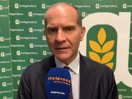 Giansanti “Sulla Xylella dare risposte concrete” / Video