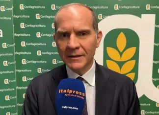 Giansanti “Sulla Xylella dare risposte concrete” / Video