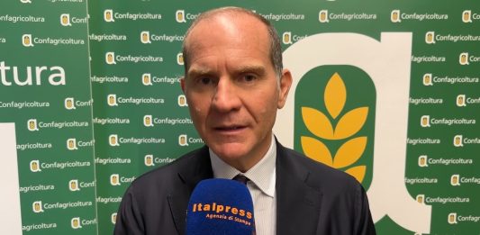 Giansanti “Sulla Xylella dare risposte concrete” / Video