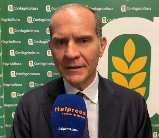 Giansanti “Sulla Xylella dare risposte concrete” / Video