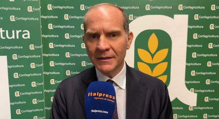 Giansanti