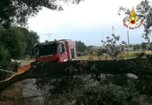 Maltempo, oltre 500 interventi dei Vigili del Fuoco: la situazione è in via di miglioramento