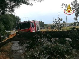 Maltempo, oltre 500 interventi dei Vigili del Fuoco: la situazione è in via di miglioramento