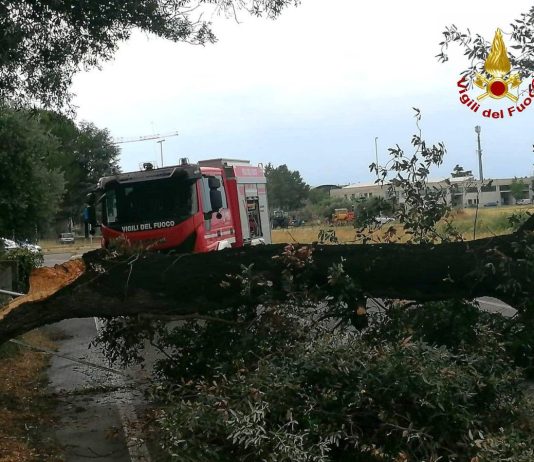 Maltempo, oltre 500 interventi dei Vigili del Fuoco: la situazione è in via di miglioramento
